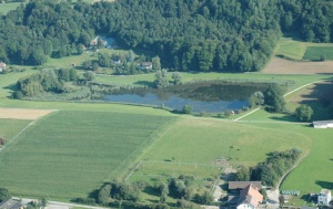 Bellacherweiher Luftaufnahme.jpg