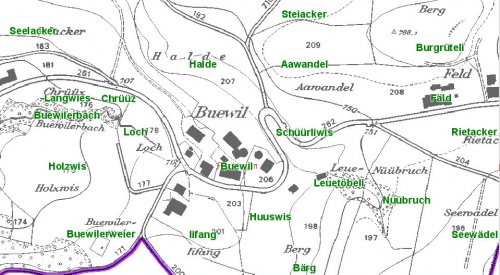 Buewil Namenbuch.jpg