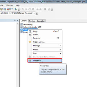11 Domain properties.jpg