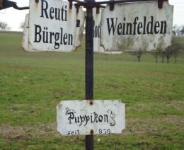 Weinfelden Puppikon.jpg